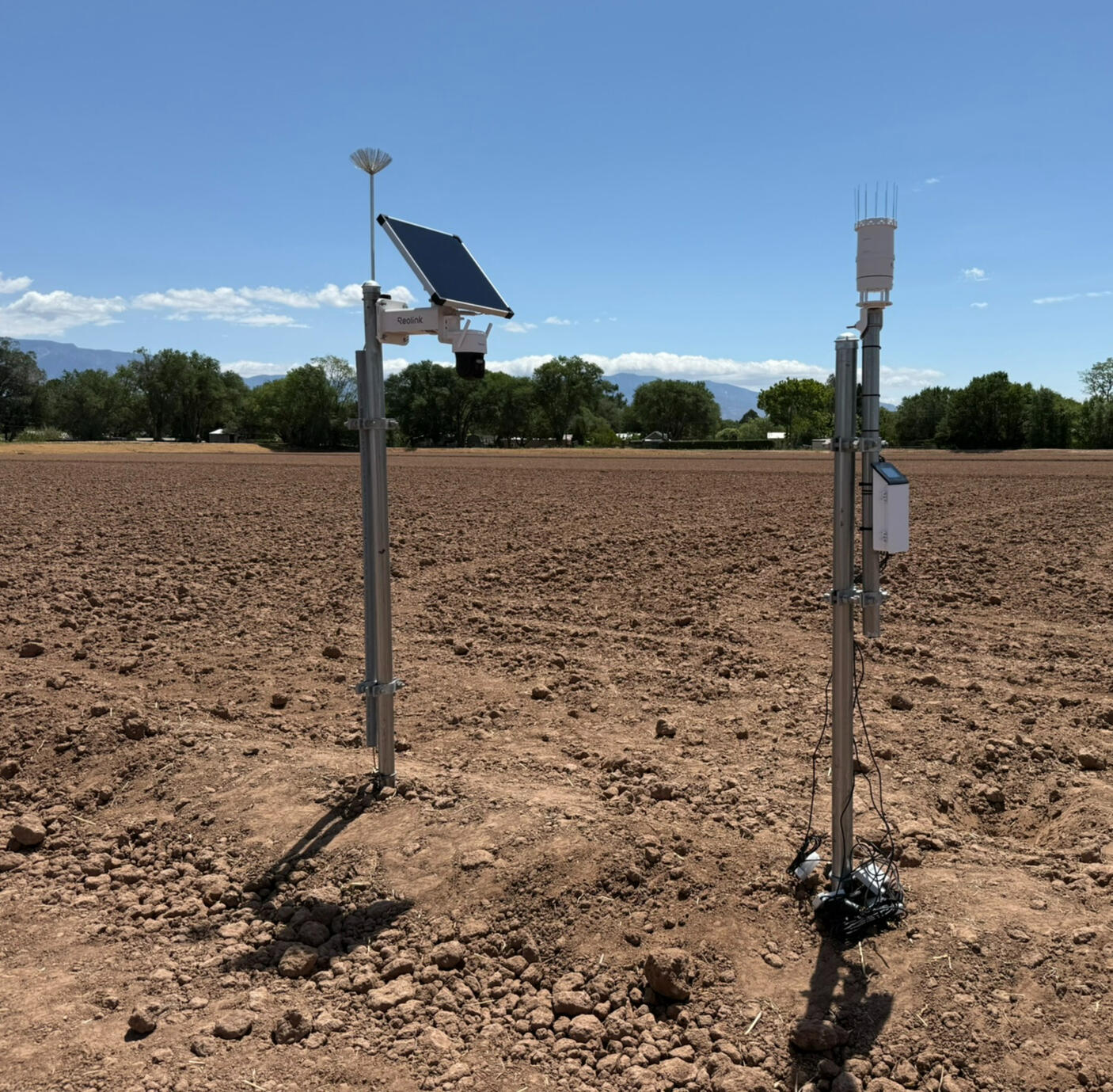 Aenean tincidunt